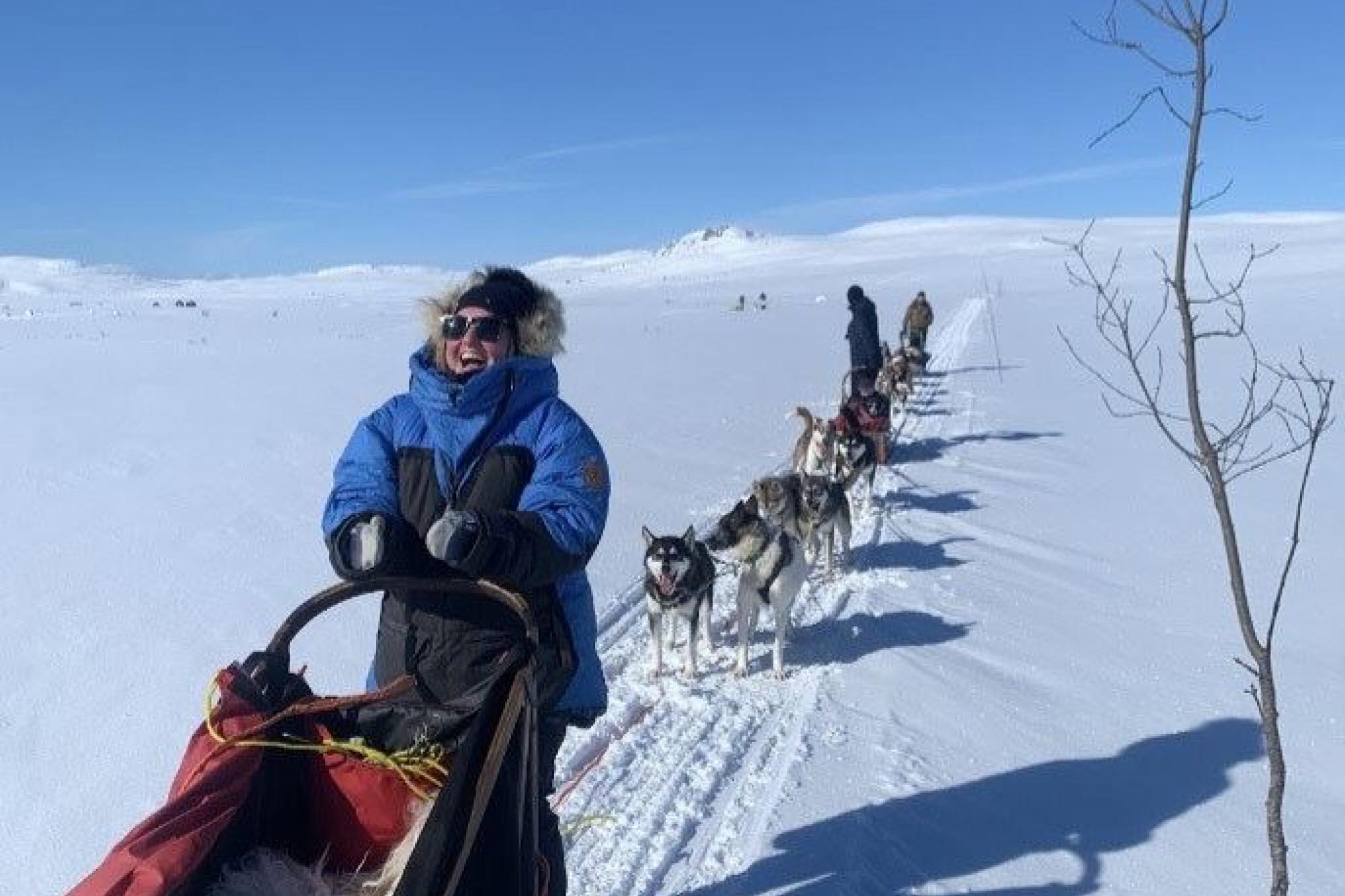 Hundekøyring med Kennel Ragnarok Polar 